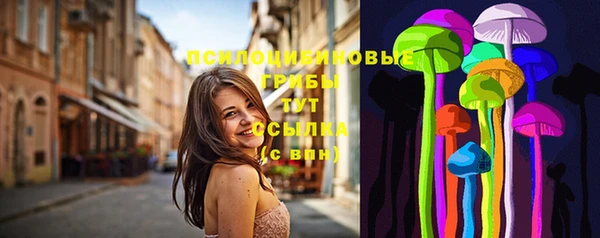 бошки Верея