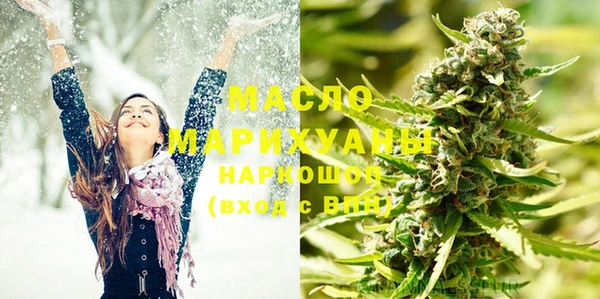 индика Бикин