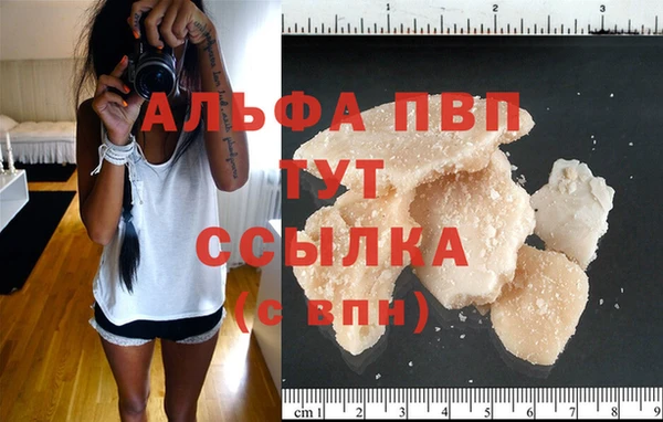 индика Бикин