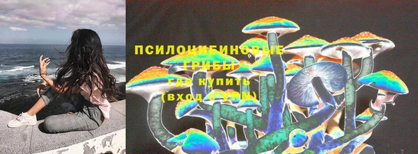 прущие грибы Верхнеуральск