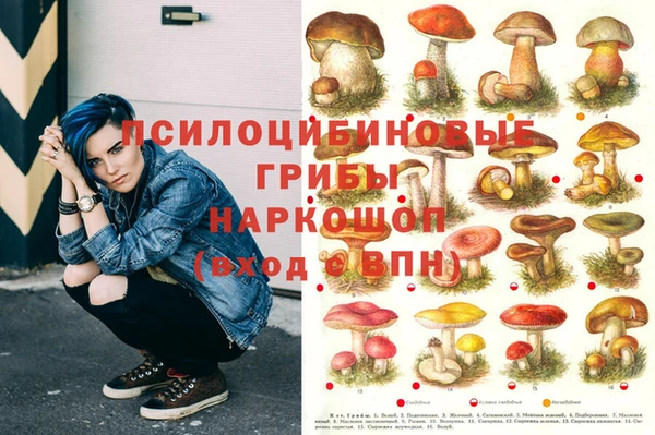 бошки Верея
