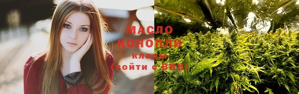индика Бикин