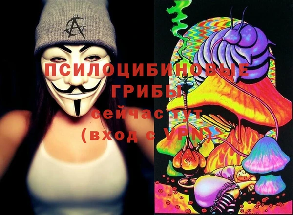 индика Бикин