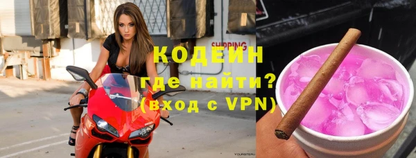 индика Бикин