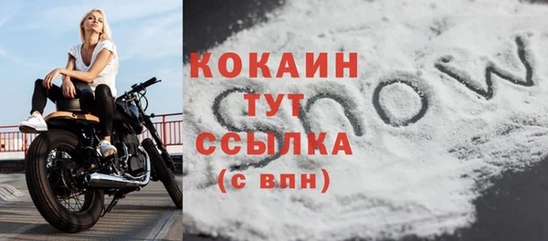 прущие грибы Верхнеуральск