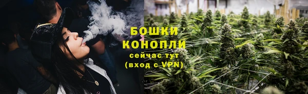 прущие грибы Верхнеуральск